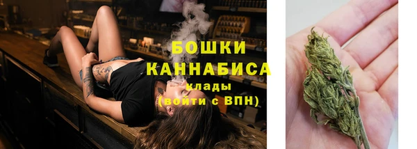 СК Инсар