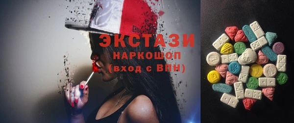 гашик Каменка