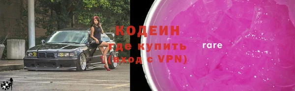 гашик Каменка