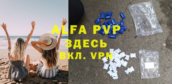 индика Иннополис