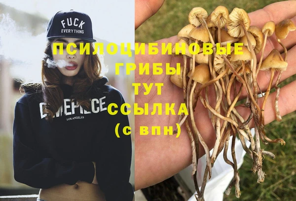 СК Инсар