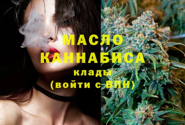 индика Иннополис
