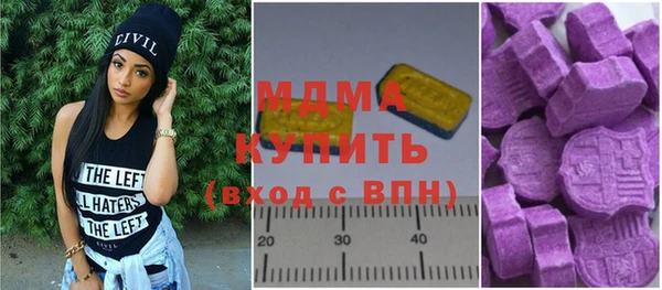 гашик Каменка