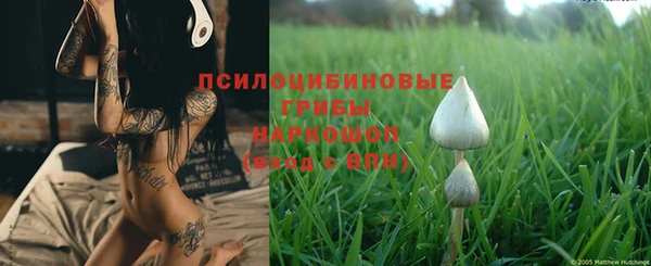 индика Иннополис